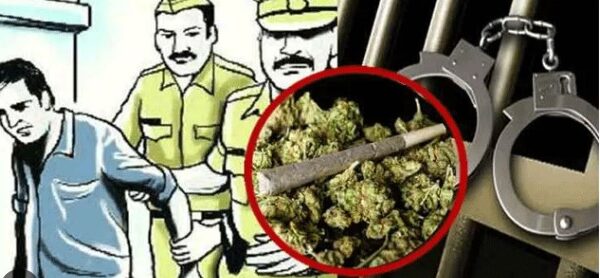 अल्पवयीनासह चौघे गांजा सेवन करताना पकडले; कुडाळ पोलिसांची धडक कारवाई