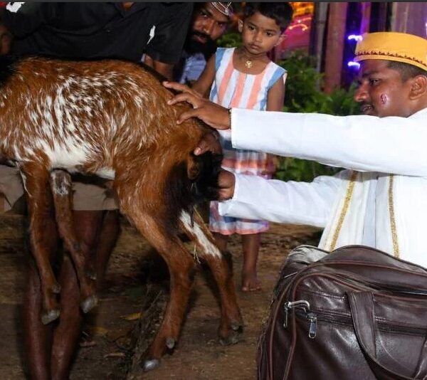 “पुण्यवचन सोडून पशुसेवा: निलेश गावकरांचा प्रेरणादायी आदर्श”