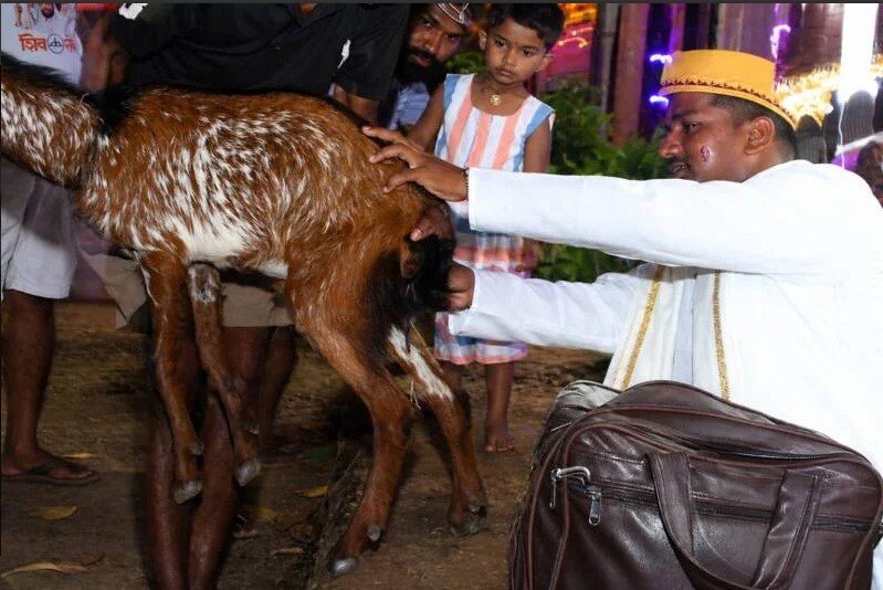 “पुण्यवचन सोडून पशुसेवा: निलेश गावकरांचा प्रेरणादायी आदर्श”