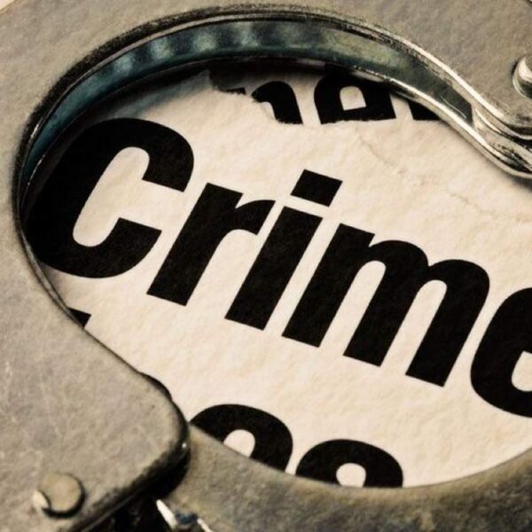 दाभोलीत पोलिसांची मध्यरात्री धाड; बेकायदेशीर बंदुकीसह एक जेरबंद