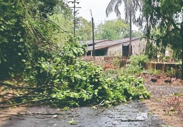 निसर्गाचा तांडव कायम: सिंधुदुर्गात तिसऱ्या दिवशीही वादळी पाऊस