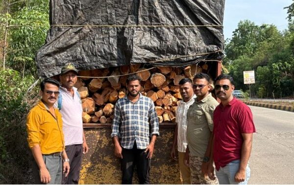 वनविभागाची मोठी कारवाई; २९ घनमीटर खैर लाकूड जप्त, चालक गाडी टाकून पसार