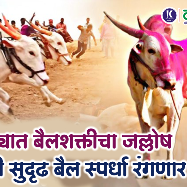 होडावड्यात बैलशक्तीचा जल्लोष; ९ मे रोजी सुदृढ बैल स्पर्धा रंगणार