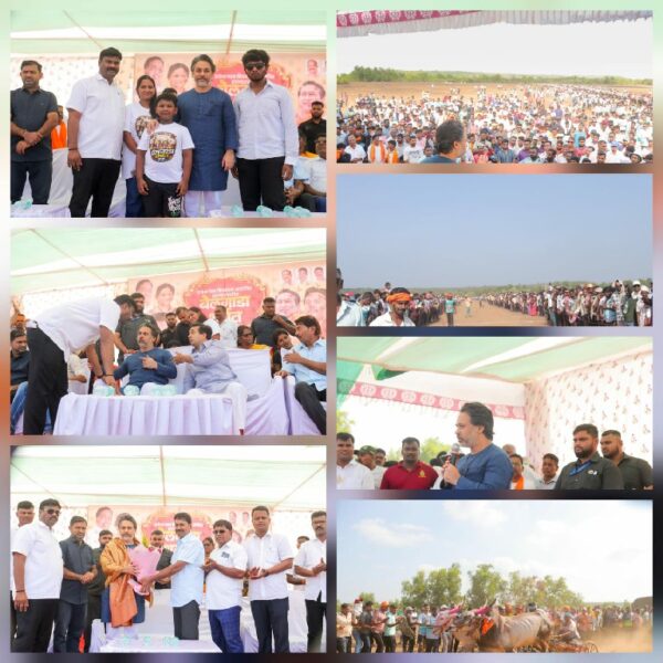 आमदार निलेश राणे, पालकमंत्री नितेश राणेंच्या उपस्थितीत रंगला बैलगाडा शर्यतीचा जल्लोष