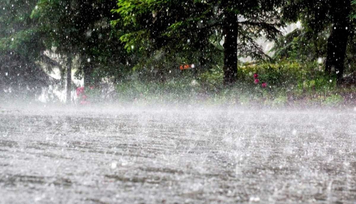 देवगडात पहिल्याच पावसात रस्ते चिखलमय, गटारे तुंबली; नागरिक त्रस्त ;  मान्सूनपूर्व पावसाची एंट्री धडाक्यात