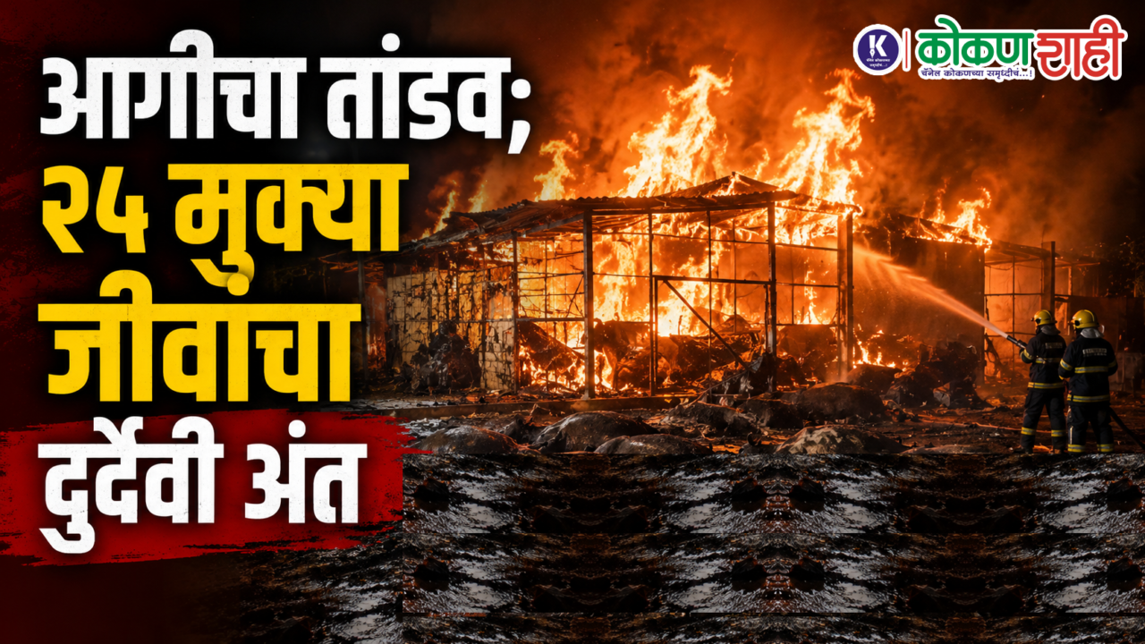 आगीचे तांडव; २५ मुक्या जीवांचा दुर्दैवी अंत
