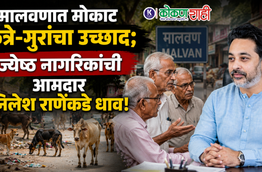 मालवणात मोकाट कुत्रे-गुरांचा उच्छाद; ज्येष्ठ नागरिकांची आमदार आमदार निलेश राणेंकडे धाव!