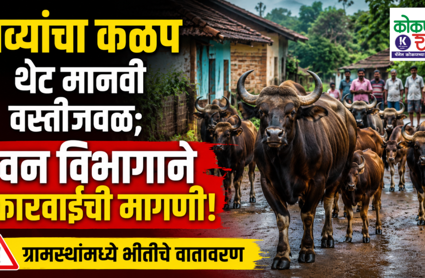 गव्यांचा कळप थेट मानवी वस्तीजवळ; वन विभागाने कारवाईची मागणी!