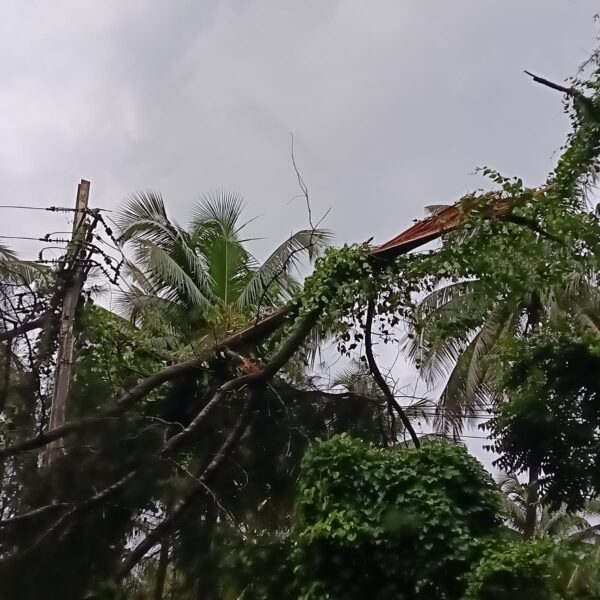 🌧️ अंधारात ६७ गावे! वादळ आणि मुसळधार पावसाने जनजीवन विस्कळीत
