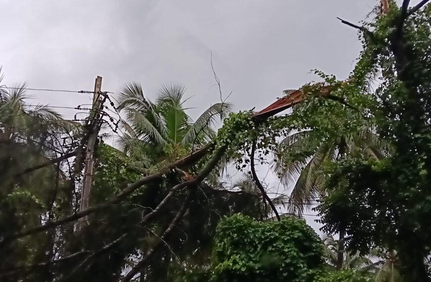 🌧️ अंधारात ६७ गावे! वादळ आणि मुसळधार पावसाने जनजीवन विस्कळीत