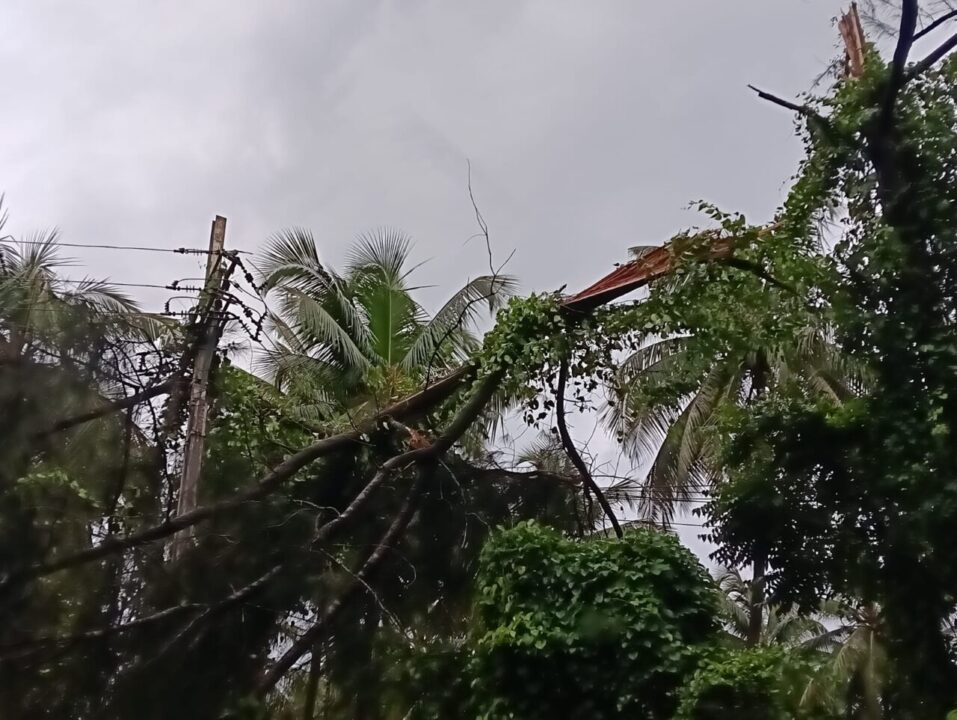 🌧️ अंधारात ६७ गावे! वादळ आणि मुसळधार पावसाने जनजीवन विस्कळीत