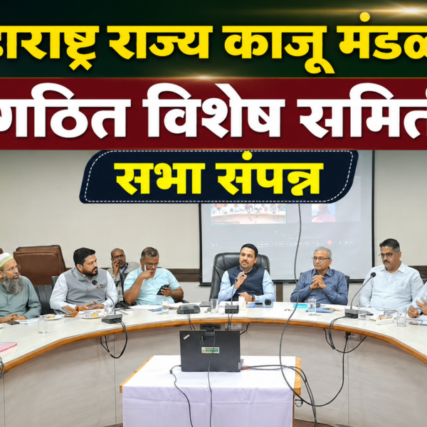 महाराष्ट्र राज्य काजू मंडळ गठित विशेष समिति सभा संपन्न