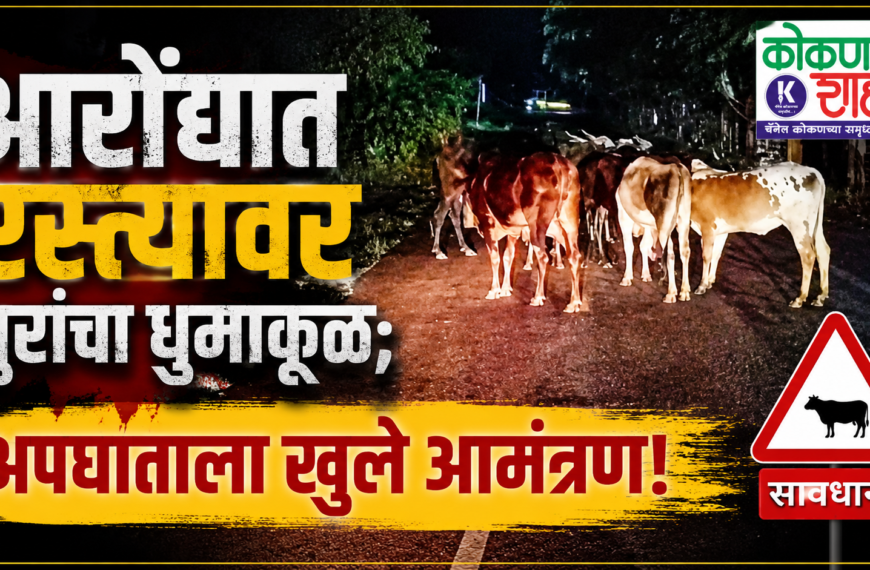 आरोंद्यात रस्त्यावर गुरांचा धुमाकूळ; अपघाताला खुले आमंत्रण!