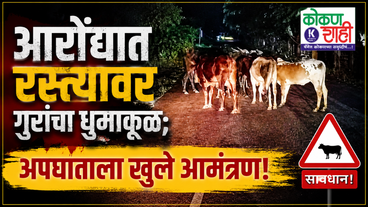 आरोंद्यात रस्त्यावर गुरांचा धुमाकूळ; अपघाताला खुले आमंत्रण!