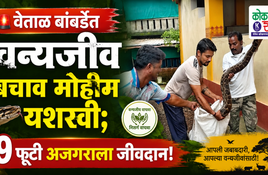 🚨 वेताळ बांबर्डेत वन्यजीव बचाव मोहीम यशस्वी; ९ फुटी अजगराला जीवदान!
