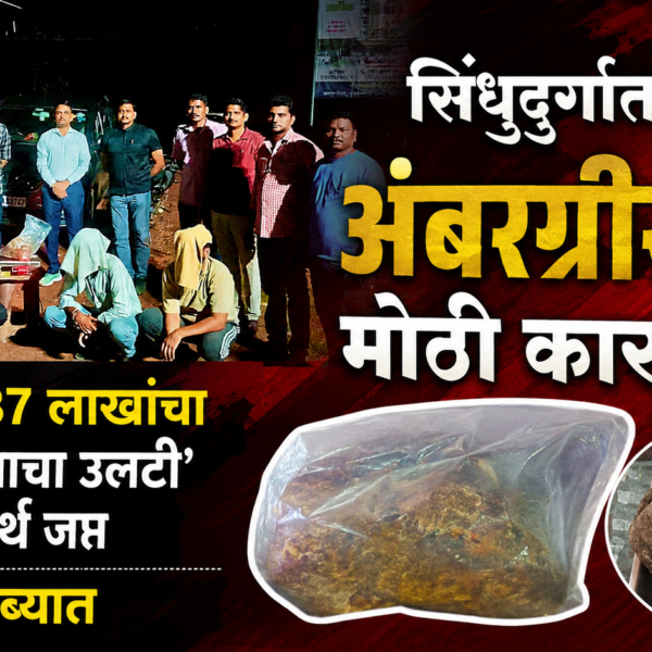🚨 सिंधुदुर्गात अंबरग्रीसची मोठी कारवाई; 2 कोटी 37 लाखांचा ‘व्हेल माशाचा उलटी’सदृश पदार्थ जप्त, 4 जण ताब्यात