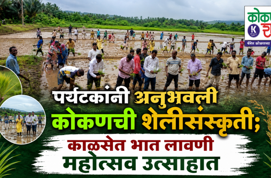 🌾 पर्यटकांनी अनुभवली कोकणची शेतीसंस्कृती; काळसेत भात लावणी महोत्सव उत्साहात