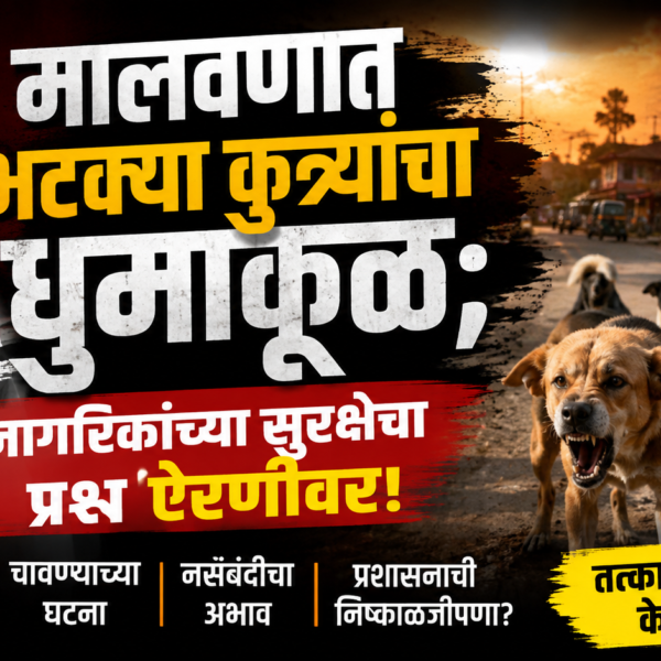 🐕 मालवणात भटक्या कुत्र्यांचा धुमाकूळ; नागरिकांच्या सुरक्षेचा प्रश्न ऐरणीवर!