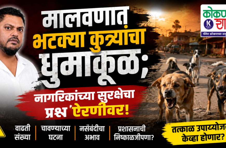 🐕 मालवणात भटक्या कुत्र्यांचा धुमाकूळ; नागरिकांच्या सुरक्षेचा प्रश्न ऐरणीवर!