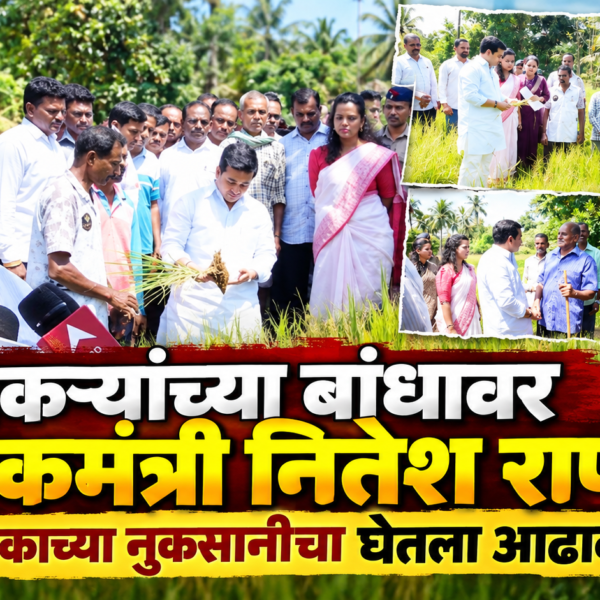 शेतकऱ्यांच्या बांधावर पालकमंत्री नितेश राणे; भातपिकाच्या नुकसानीचा घेतला आढावा