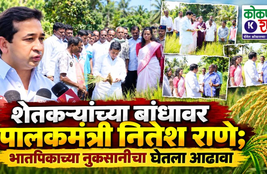 शेतकऱ्यांच्या बांधावर पालकमंत्री नितेश राणे; भातपिकाच्या नुकसानीचा घेतला आढावा