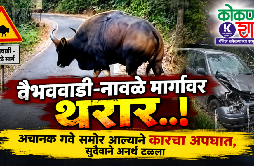 वैभववाडी-नावळे मार्गावर थरार; अचानक गवे समोर आल्याने कारचा अपघात, सुदैवाने अनर्थ टळला