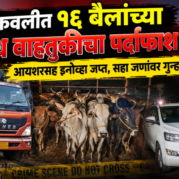 👉 कणकवलीत १६ बैलांच्या अवैध वाहतुकीचा पर्दाफाश; आयशरसह इनोव्हा जप्त, सहा जणांवर गुन्हा!