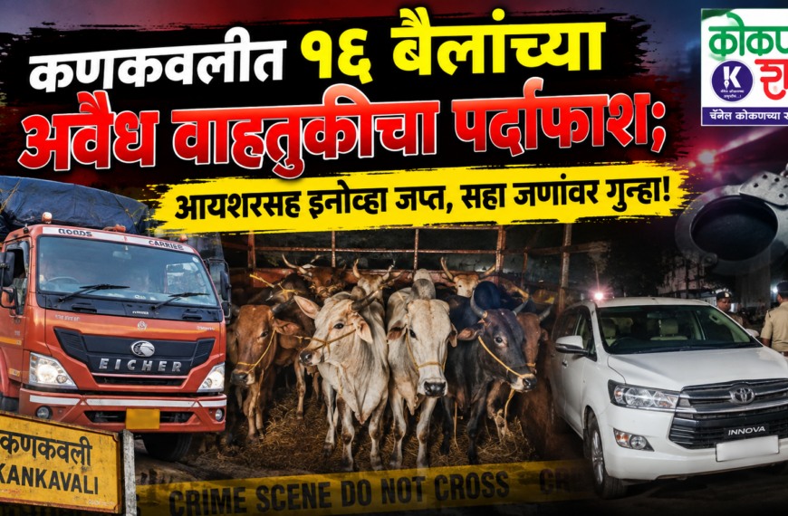 👉 कणकवलीत १६ बैलांच्या अवैध वाहतुकीचा पर्दाफाश; आयशरसह इनोव्हा जप्त, सहा जणांवर गुन्हा!