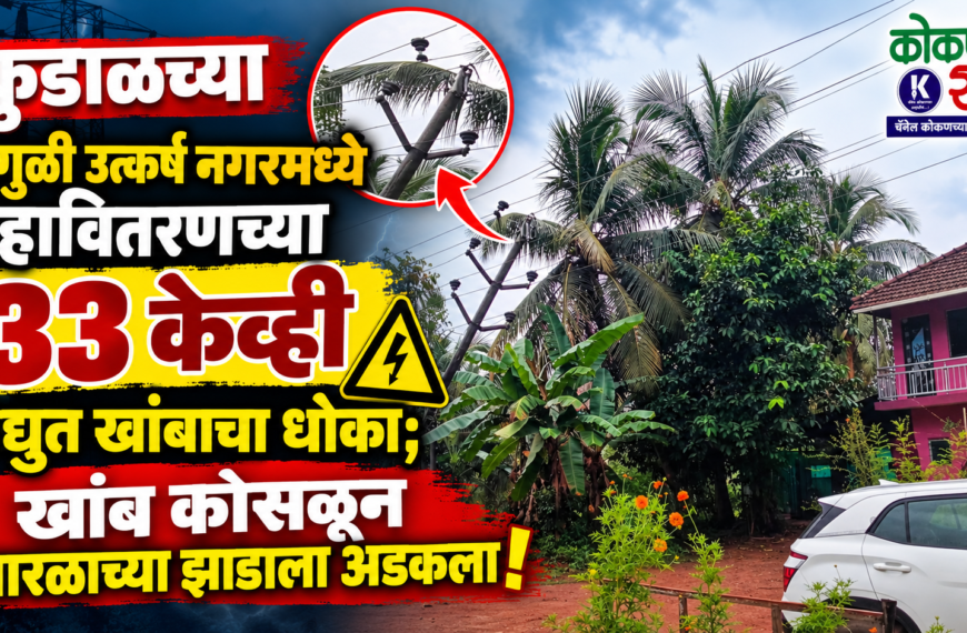 कुडाळच्या पिंगुळी उत्कर्ष नगरमध्ये महावितरणच्या ३३ केव्ही विद्युत खांबाचा धोका; खांब कोसळून नारळाच्या झाडाला अडकला!